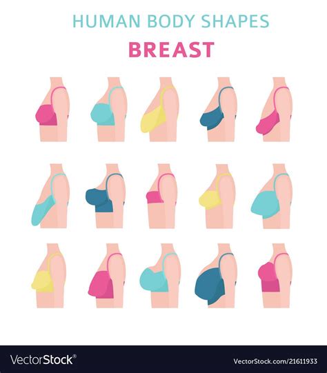 The 12 Different Breast Shapes and Types